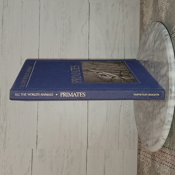 Vintage | 1984 All the World's Animals | Primates Book - Picture 3 of 7